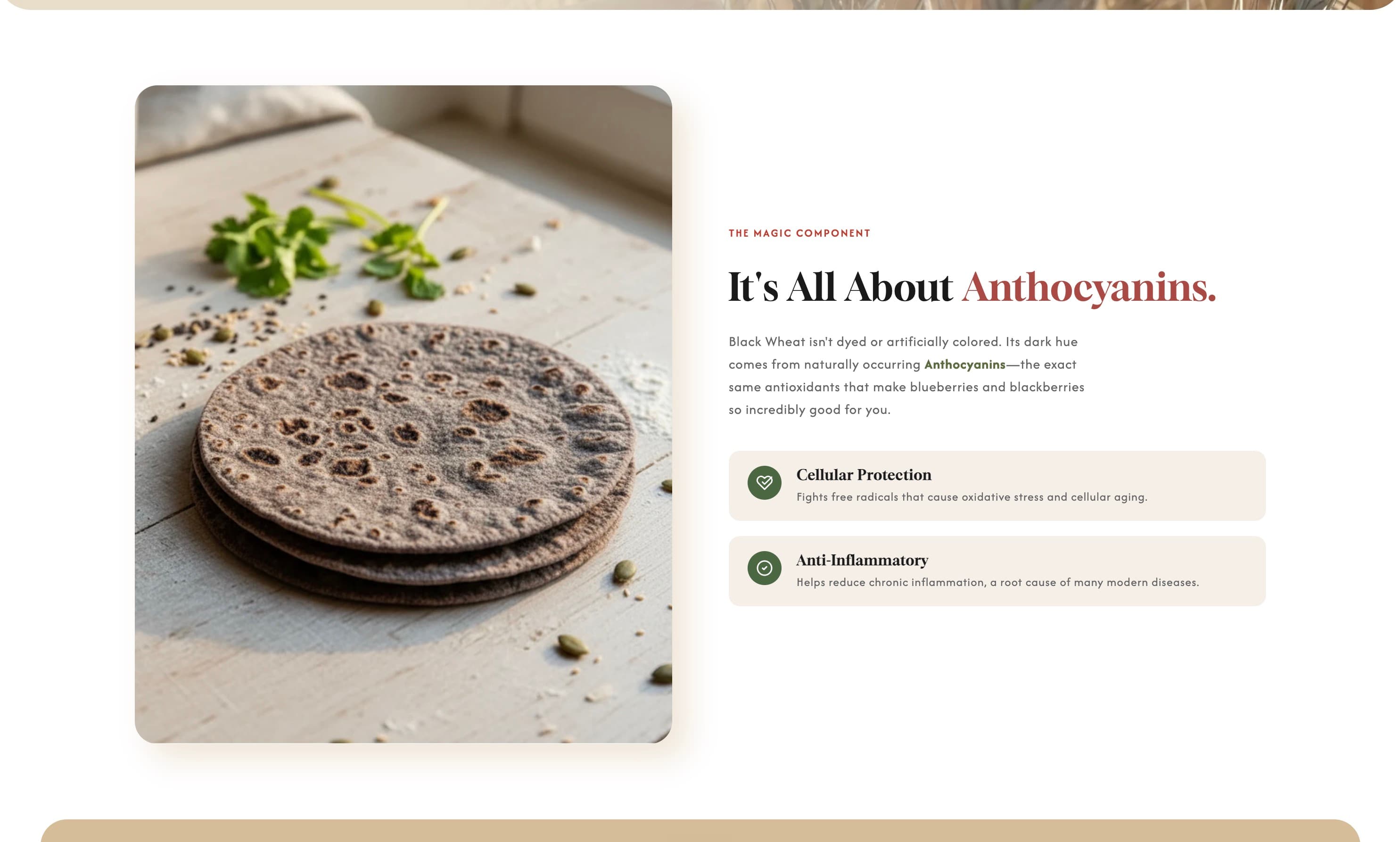 Anthocyanins education content for black flatbread